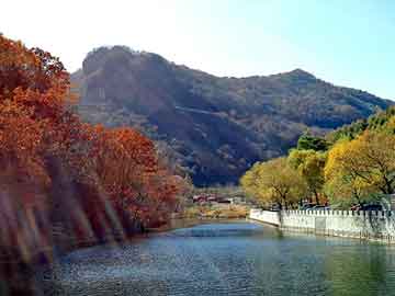 新澳天天开奖资料大全旅游团，定做购物袋